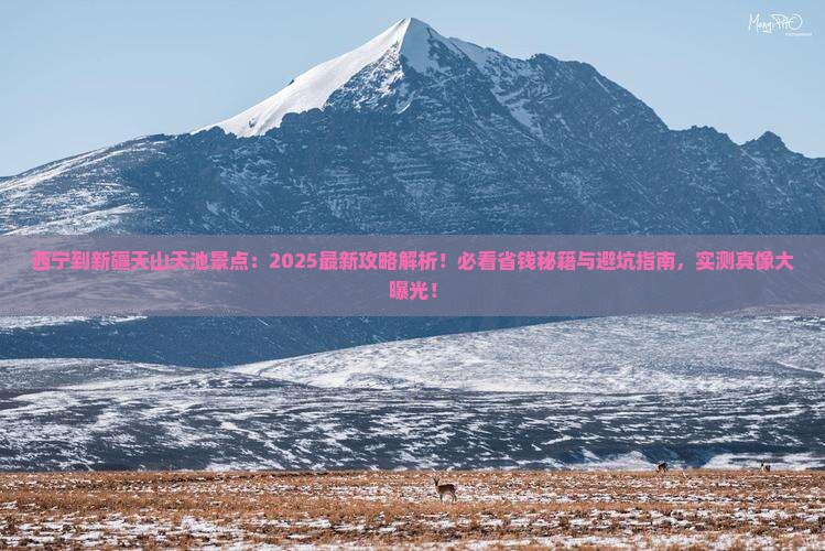 西宁到新疆天山天池景点