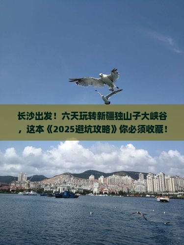 长沙去新疆独山子大峡谷六日游