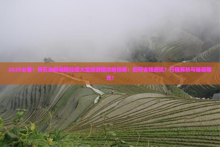 黄石去新疆那拉提大型旅游团