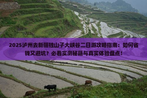 泸州去新疆独山子大峡谷二日游