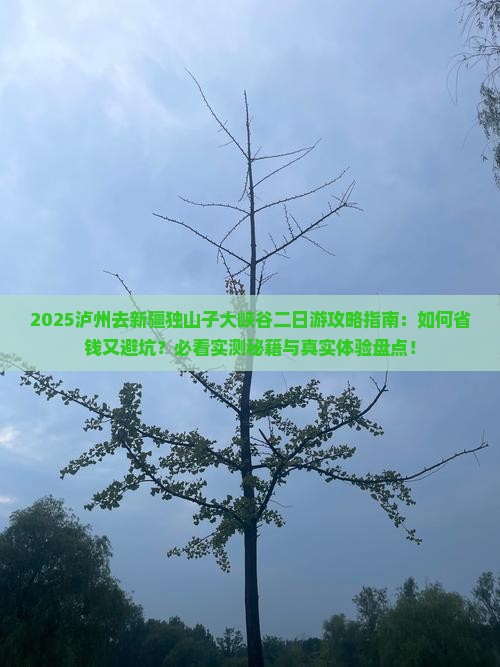 泸州去新疆独山子大峡谷二日游