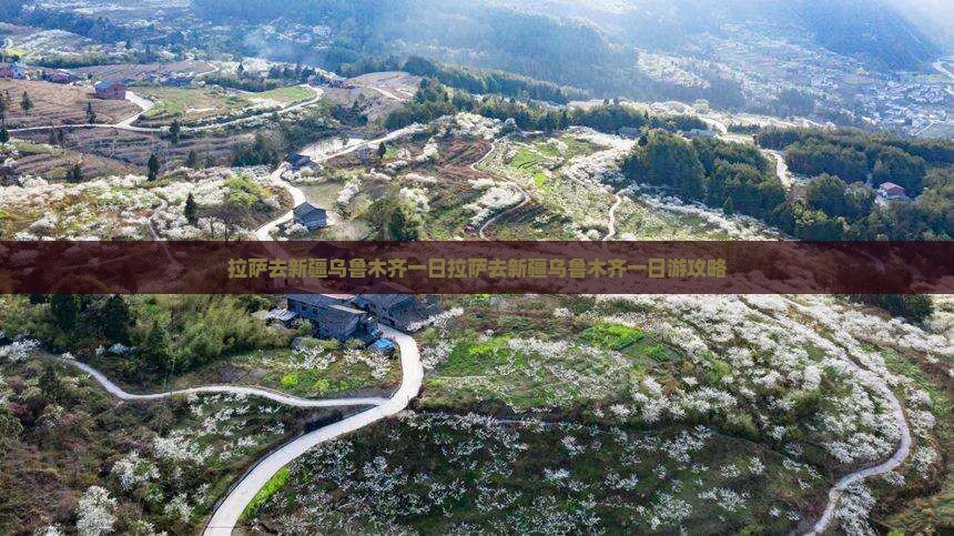 拉萨去新疆乌鲁木齐一日