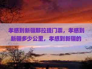 孝感到新疆那拉提门票