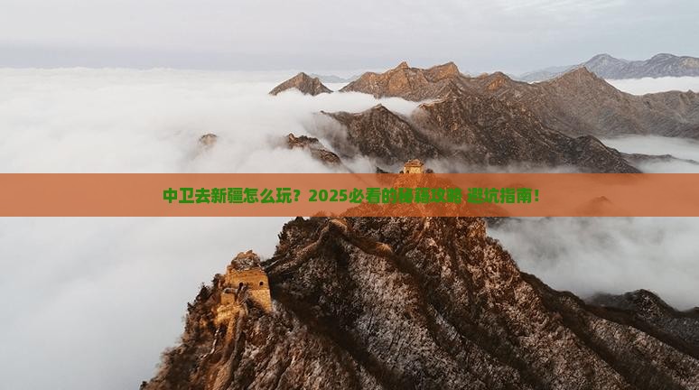 中卫去新疆哪里玩