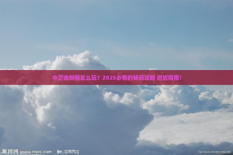 中卫去新疆哪里玩