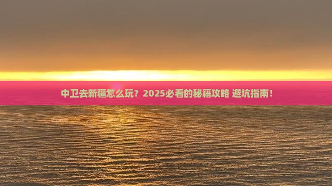 中卫去新疆哪里玩