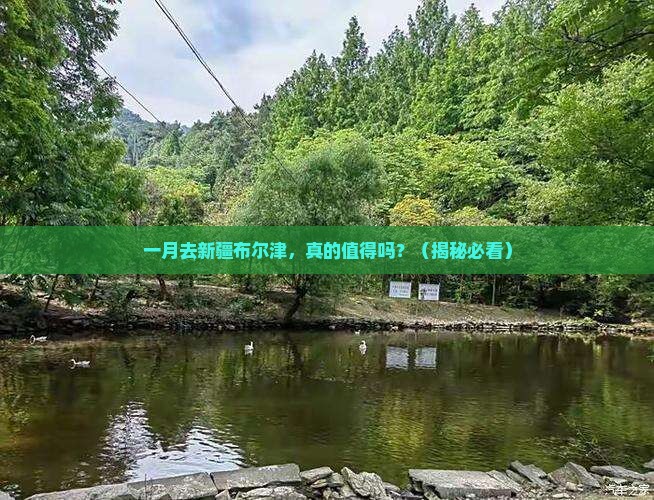 一月去新疆布尔津个人游