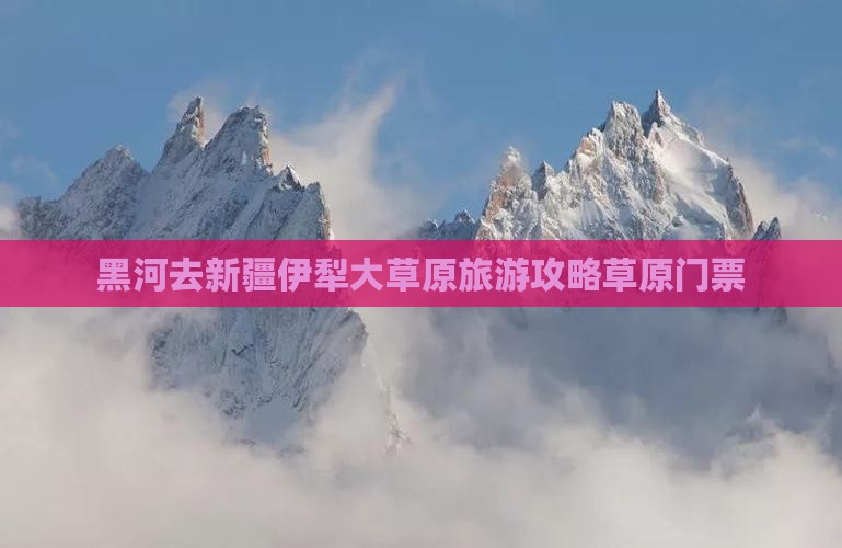 黑河去新疆伊犁大草原门票