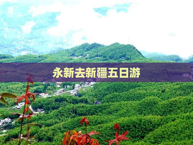 永新去新疆五日游
