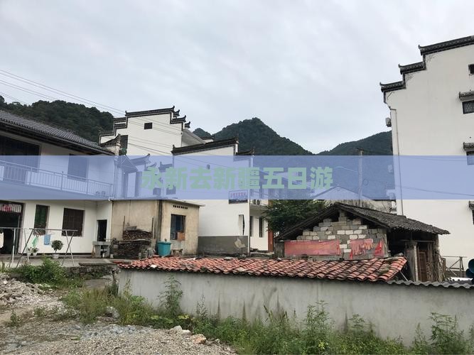 永新去新疆五日游