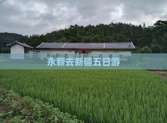 永新去新疆五日游