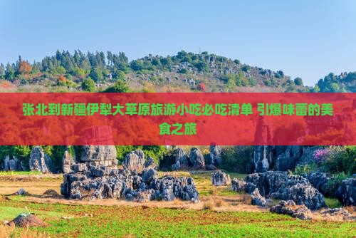 张北到新疆伊犁大草原旅游小吃