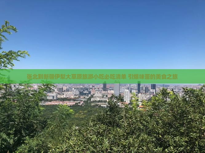 张北到新疆伊犁大草原旅游小吃