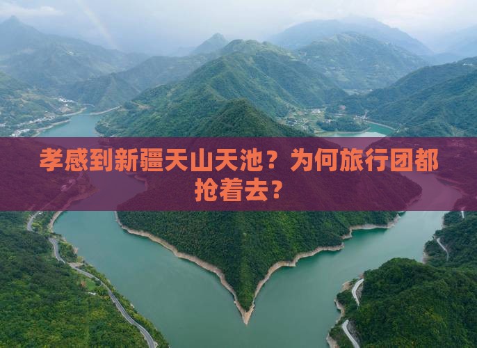 孝感到新疆天山天池旅行社