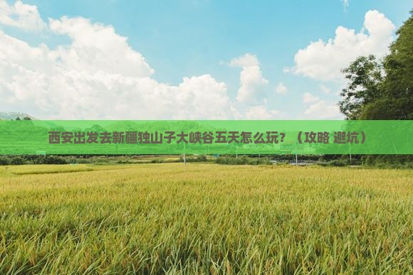 西安到新疆独山子大峡谷五日游 西安到新疆独山子大峡谷五日游