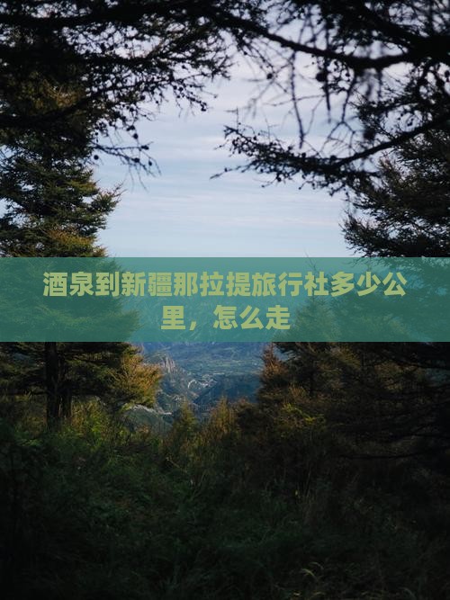 酒泉到新疆那拉提旅行社
