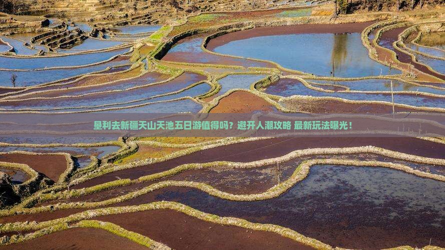 垦利去新疆天山天池五日游