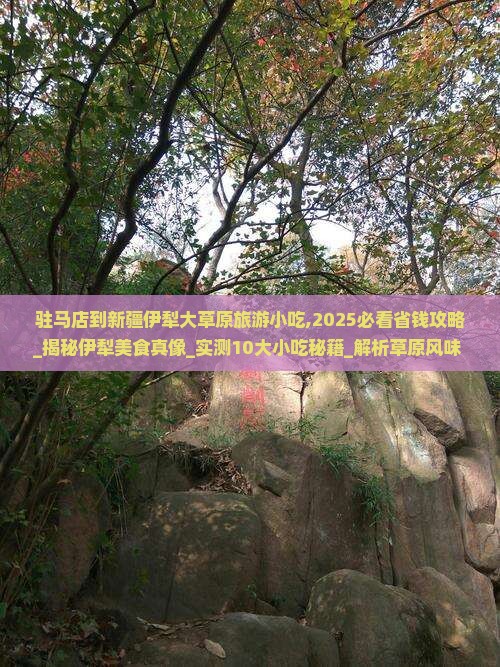 驻马店到新疆伊犁大草原旅游小吃