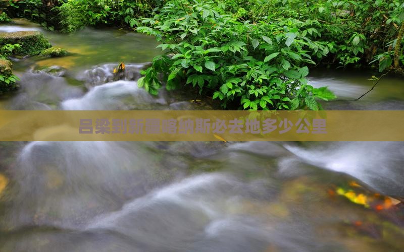 吕梁到新疆喀纳斯必去地