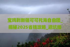 宝鸡到新疆可可托海自由团