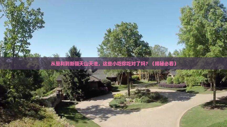 垦利到新疆天山天池旅游小吃
