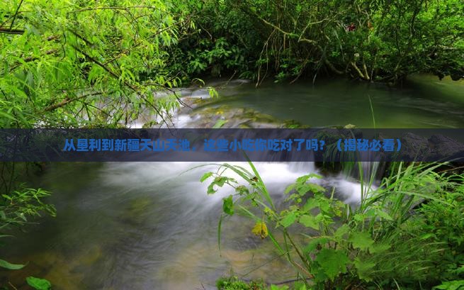 垦利到新疆天山天池旅游小吃