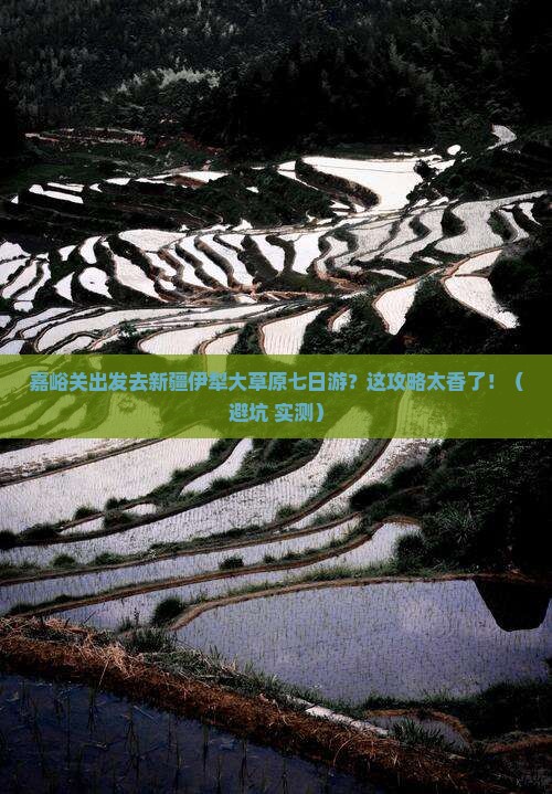 嘉峪关去新疆伊犁大草原七日游