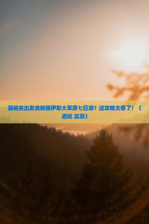 嘉峪关去新疆伊犁大草原七日游