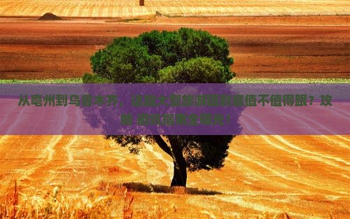亳州到新疆乌鲁木齐大型旅游团