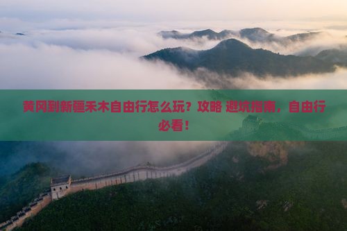 黄冈到新疆禾木自由行
