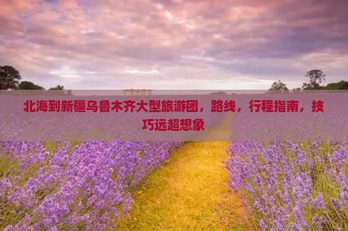 北海到新疆乌鲁木齐大型旅游团