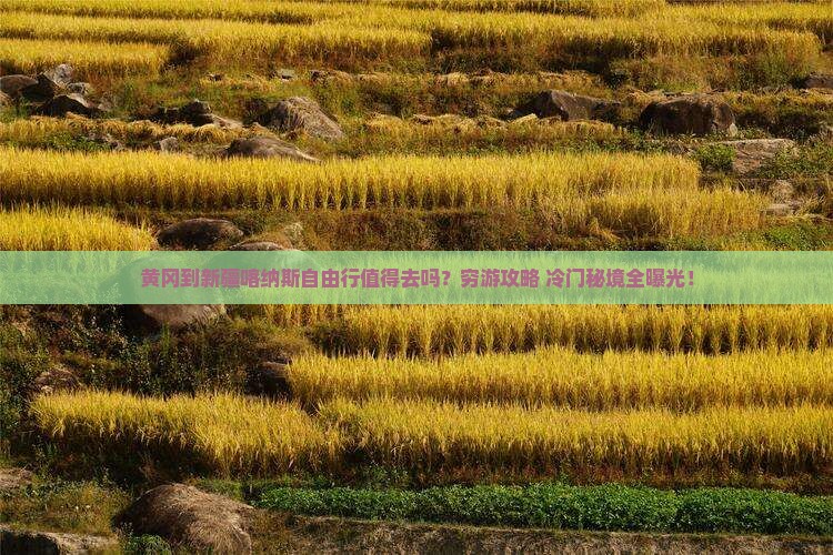 黄冈到新疆喀纳斯自由行