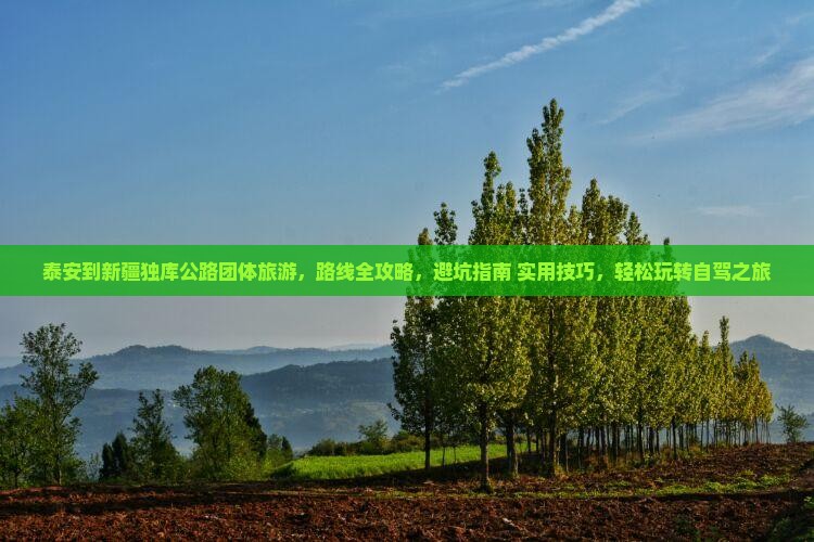 泰安到新疆独库公路团体旅游