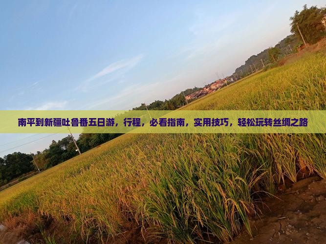南平到新疆吐鲁番五日游