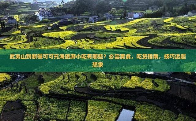 武夷山到新疆可可托海旅游小吃