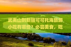 武夷山到新疆可可托海旅游小吃