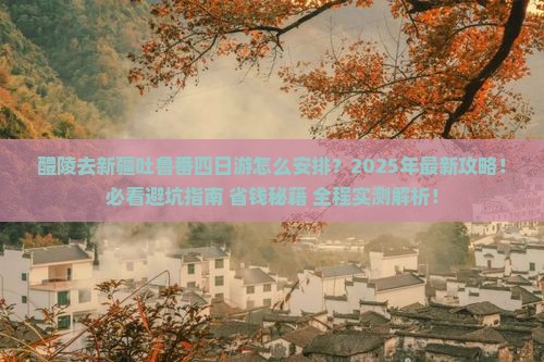 醴陵去新疆吐鲁番四日游