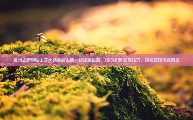 泉州去新疆独山子大峡谷必去地