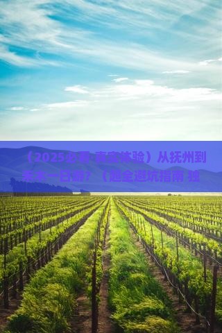 抚州去新疆禾木一日