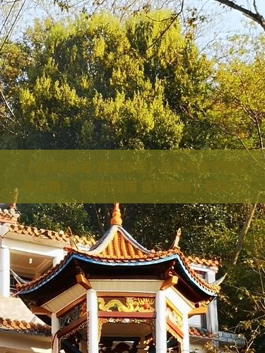 蚌埠到新疆独库公路哪里玩