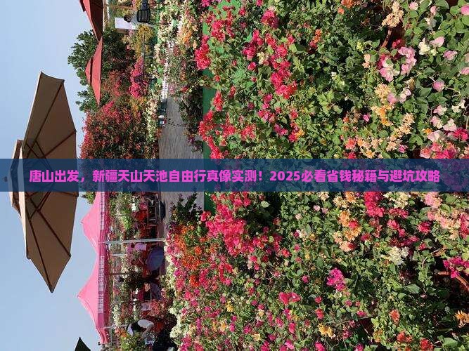唐山到新疆天山天池自由行