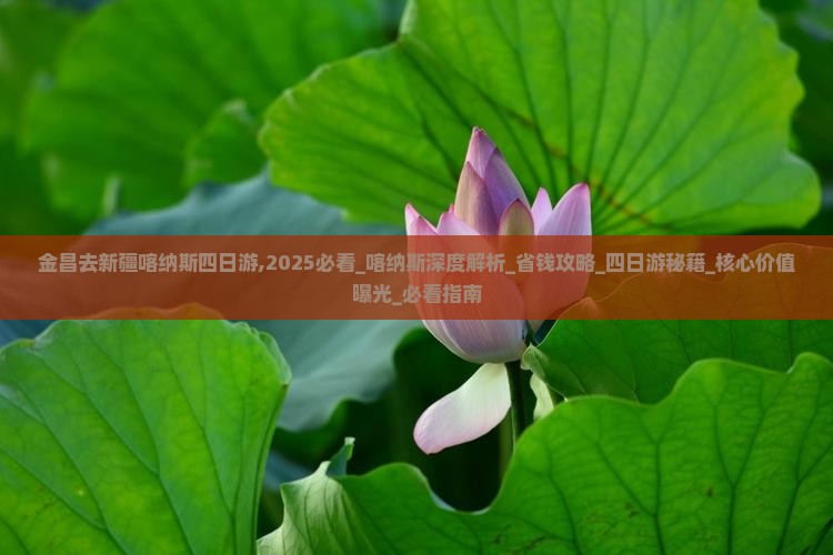 金昌去新疆喀纳斯四日游