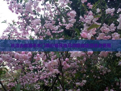长治去新疆禾木门票