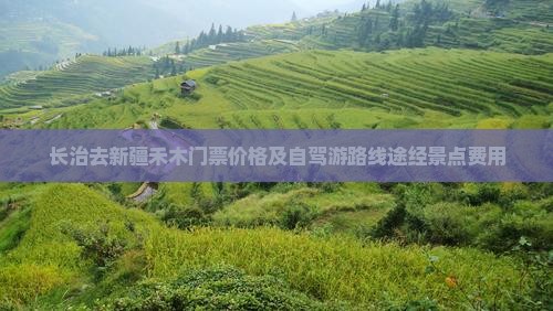 长治去新疆禾木门票