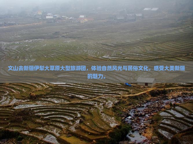 文山去新疆伊犁大草原大型旅游团