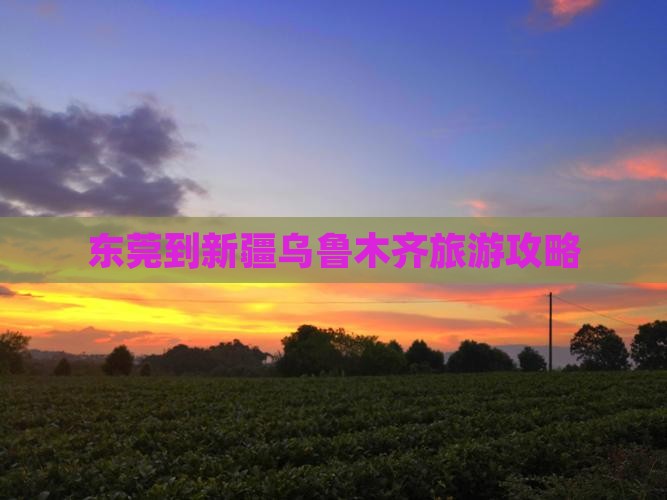 东莞到新疆乌鲁木齐攻略