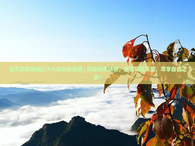 自贡去新疆独山子大峡谷自由团
