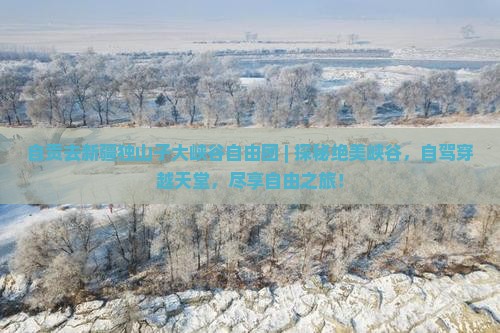 自贡去新疆独山子大峡谷自由团