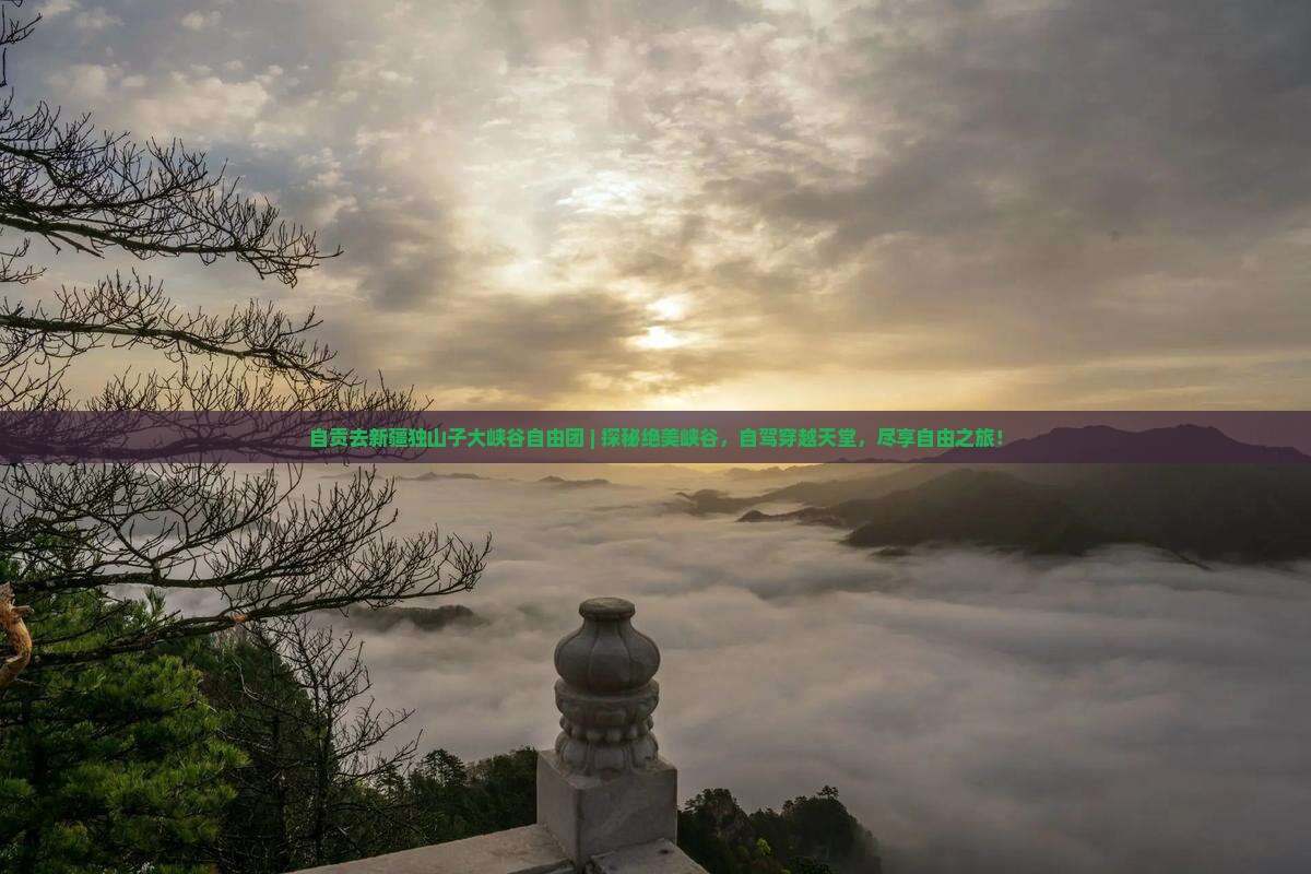 自贡去新疆独山子大峡谷自由团