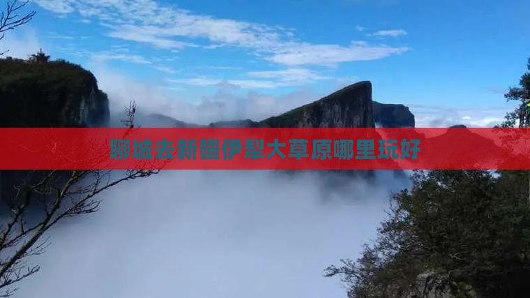 聊城去新疆伊犁大草原哪里玩